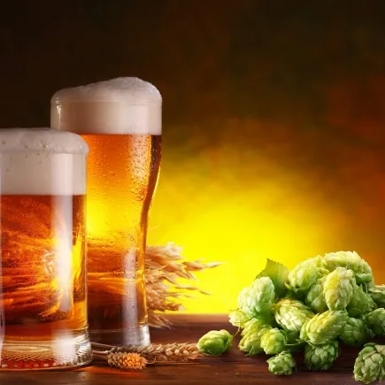 Degustation de Biere